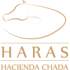 Haras Hacienda Chada